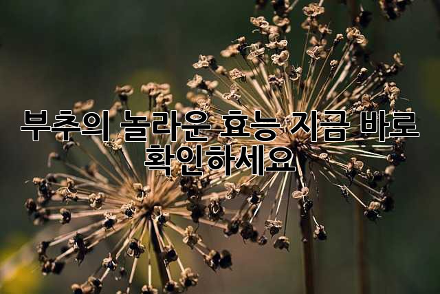 부추의 놀라운 효능, 지금 바로 확인하세요!