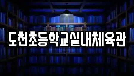 도천초등학교실내체육관