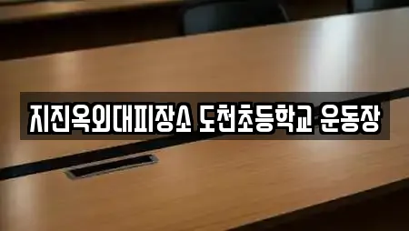 지진옥외대피장소 도천초등학교 운동장