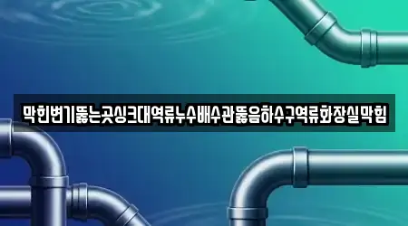 막힌변기뚫는곳싱크대역류누수배수관뚫음하수구역류화장실막힘