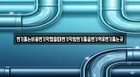 변기뚫는비용변기막혔을때변기막힘변기뚫음변기역류변기뚫는곳