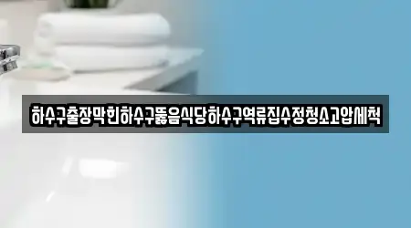 하수구출장막힌하수구뚫음식당하수구역류집수정청소고압세척