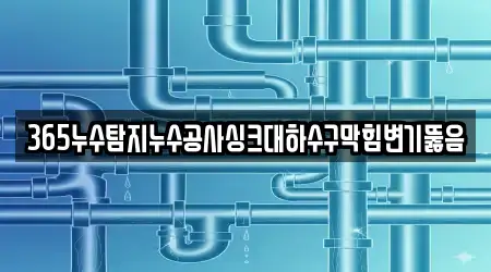 365누수탐지누수공사싱크대하수구막힘변기뚫음