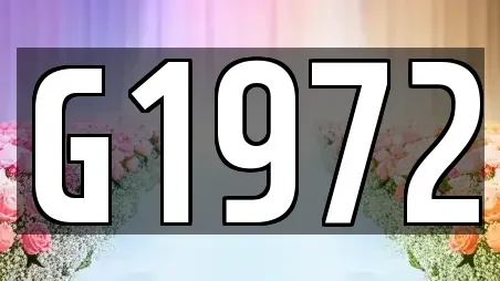 대구 중구 서내동 웨딩드레스 인기 21곳