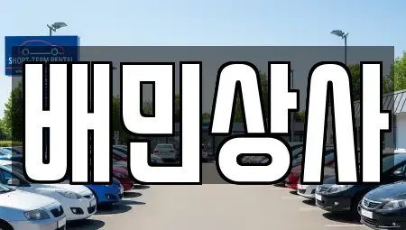 강원 강릉시 성산면 중고차 전문 배민상사