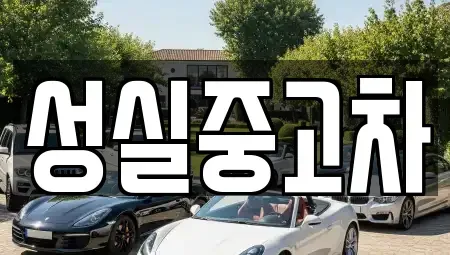 강원 삼척시 조비동 중고차매매 전문 성실중고차