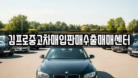 강원 화천군 상서면 중고차 전문 김프로중고차매입판매수출매매센터