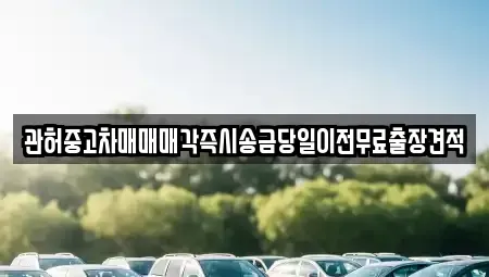 강원특별자치도 강릉시 임당동 중고차매매 전문 관허중고차매매매각즉시송금당일이전무료출장견적