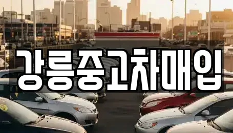강원특별자치도 강릉시 임당동 중고차매입 전문 강릉중고차매입