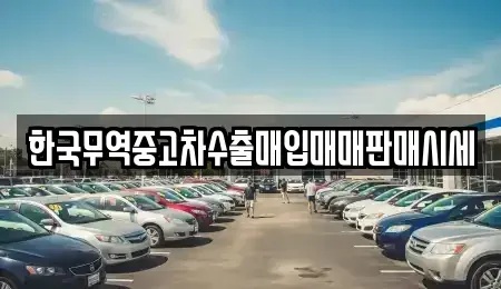 강원특별자치도 강릉시 임당동 중고차매입 전문 한국무역중고차수출매입매매판매시세