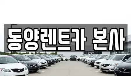 강원특별자치도 삼척시 성내동 렌트카,단기렌트카,장기렌트카,중고차,중고차매매,중고차매입