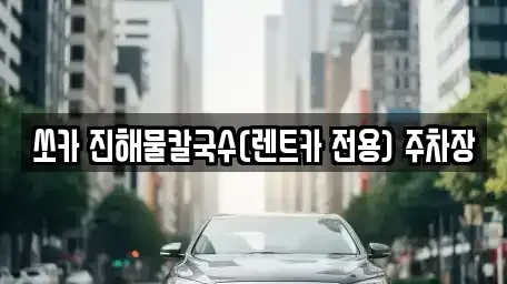 강원특별자치도 삼척시 성내동 렌트카 전문 쏘카 진해물칼국수(렌트카 전용) 주차장