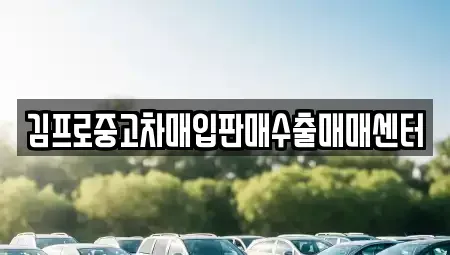 강원특별자치도 삼척시 성내동 중고차매입 전문 김프로중고차매입판매수출매매센터