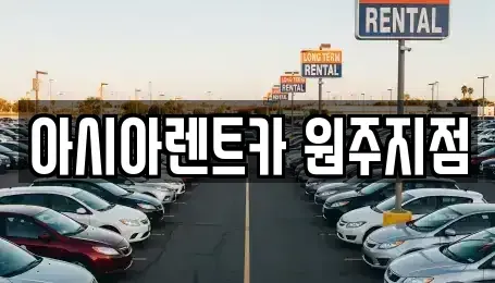 강원특별자치도 원주시 반곡동 렌트카 전문 아시아렌트카 원주지점
