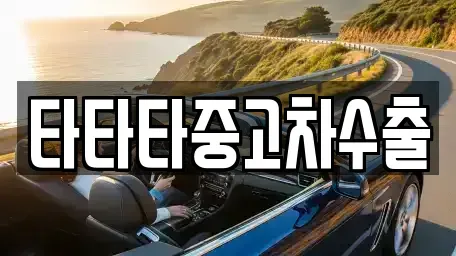 강원특별자치도 원주시 반곡동 중고차 전문 타타타중고차수출