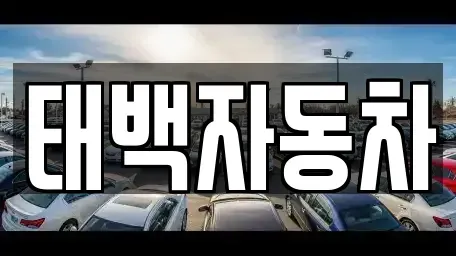강원특별자치도 태백시 소도동 중고차 전문 태백자동차