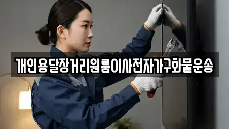 개인용달장거리원룸이사전자가구화물운송