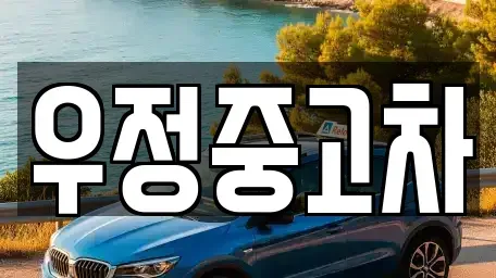 경기 고양시 덕양구 벽제동 중고차매매 전문 우정중고차