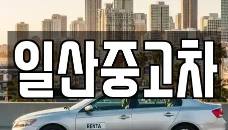 경기 고양시 덕양구 벽제동 중고차매매 전문 일산중고차