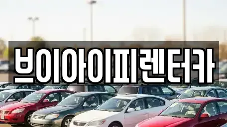 경기 고양시 덕양구 행주외동 렌트카 전문 브이아이피렌터카