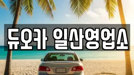 경기 고양시 덕양구 행주외동 장기렌트카 전문 듀오카 일산영업소