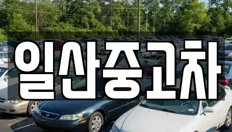 경기 고양시 덕양구 행주외동 중고차 전문 일산중고차