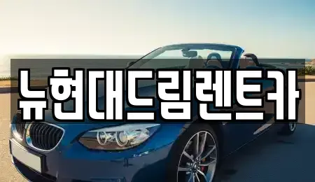 경기 과천시 관문동 렌트카 전문 뉴현대드림렌트카