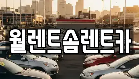 경기 과천시 관문동 렌트카 전문 월렌트솜렌트카
