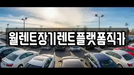 경기 과천시 관문동 장기렌트카 전문 월렌트장기렌트플랫폼직카