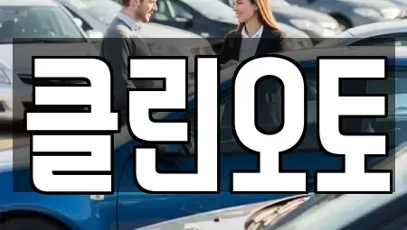 경기 과천시 관문동 중고차 전문 클린오토