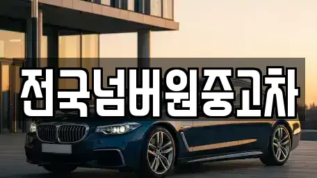 경기 과천시 관문동 중고차매매 전문 전국넘버원중고차