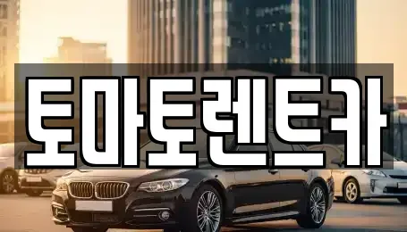 경기 광주시 남종면 렌트카 전문 토마토렌트카