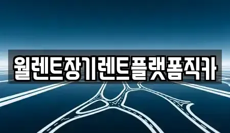 경기 광주시 장지동 렌트카 전문 월렌트장기렌트플랫폼직카