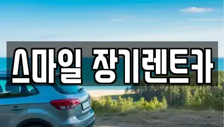 경기 광주시 장지동 장기렌트카 전문 스마일 장기렌트카