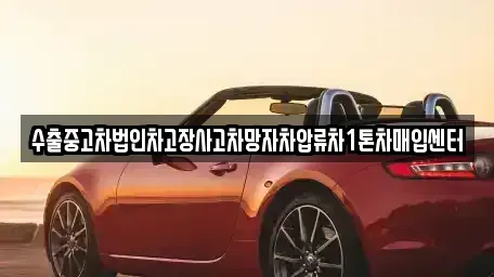 경기 광주시 장지동 중고차 전문 수출중고차법인차고장사고차망자차압류차1톤차매입센터