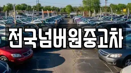 경기 광주시 장지동 중고차 전문 전국넘버원중고차