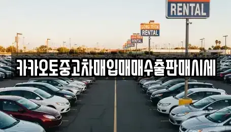 경기 광주시 장지동 중고차 전문 카카오토중고차매입매매수출판매시세