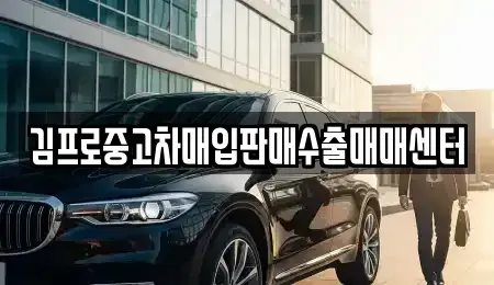 경기 광주시 장지동 중고차매입 전문 김프로중고차매입판매수출매매센터