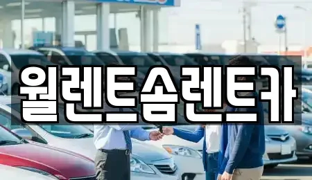경기 구리시 사노동 렌트카 전문 월렌트솜렌트카