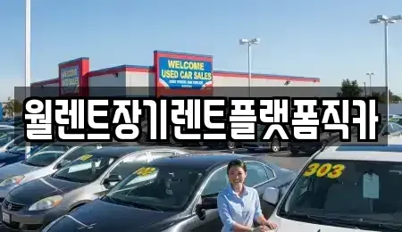 경기 구리시 사노동 장기렌트카 전문 월렌트장기렌트플랫폼직카