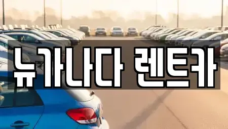 경기 김포시 운양동 렌트카 전문 뉴가나다 렌트카
