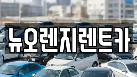 경기 김포시 운양동 렌트카 전문 뉴오렌지렌트카