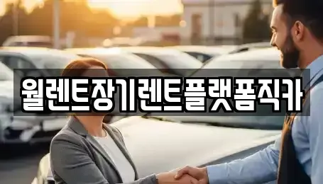 경기 김포시 운양동 렌트카 전문 월렌트장기렌트플랫폼직카