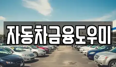 경기 김포시 운양동 장기렌트카 전문 자동차금융도우미