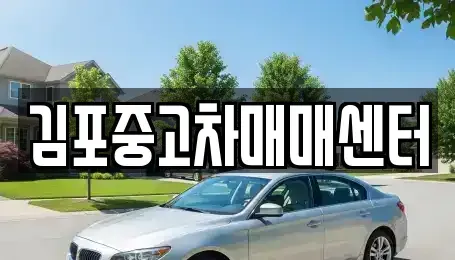 경기 김포시 운양동 중고차 전문 김포중고차매매센터