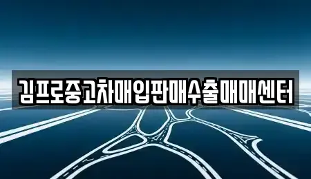 경기 김포시 운양동 중고차매입 전문 김프로중고차매입판매수출매매센터