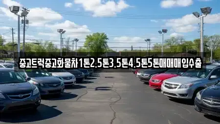 경기 김포시 운양동 중고차매입 전문 중고트럭중고화물차1톤2.5톤3.5톤4.5톤5톤매매매입수출