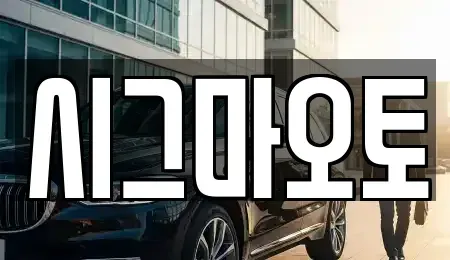 경기 부천시 원미구 중동 단기렌트카 전문 시그마오토