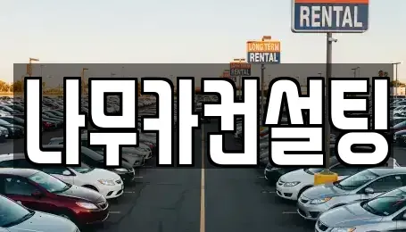 경기 부천시 원미구 중동 장기렌트카 전문 나무카컨설팅