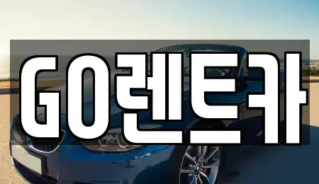 경기 수원시 영통구 원천동 렌트카 전문 GO렌트카